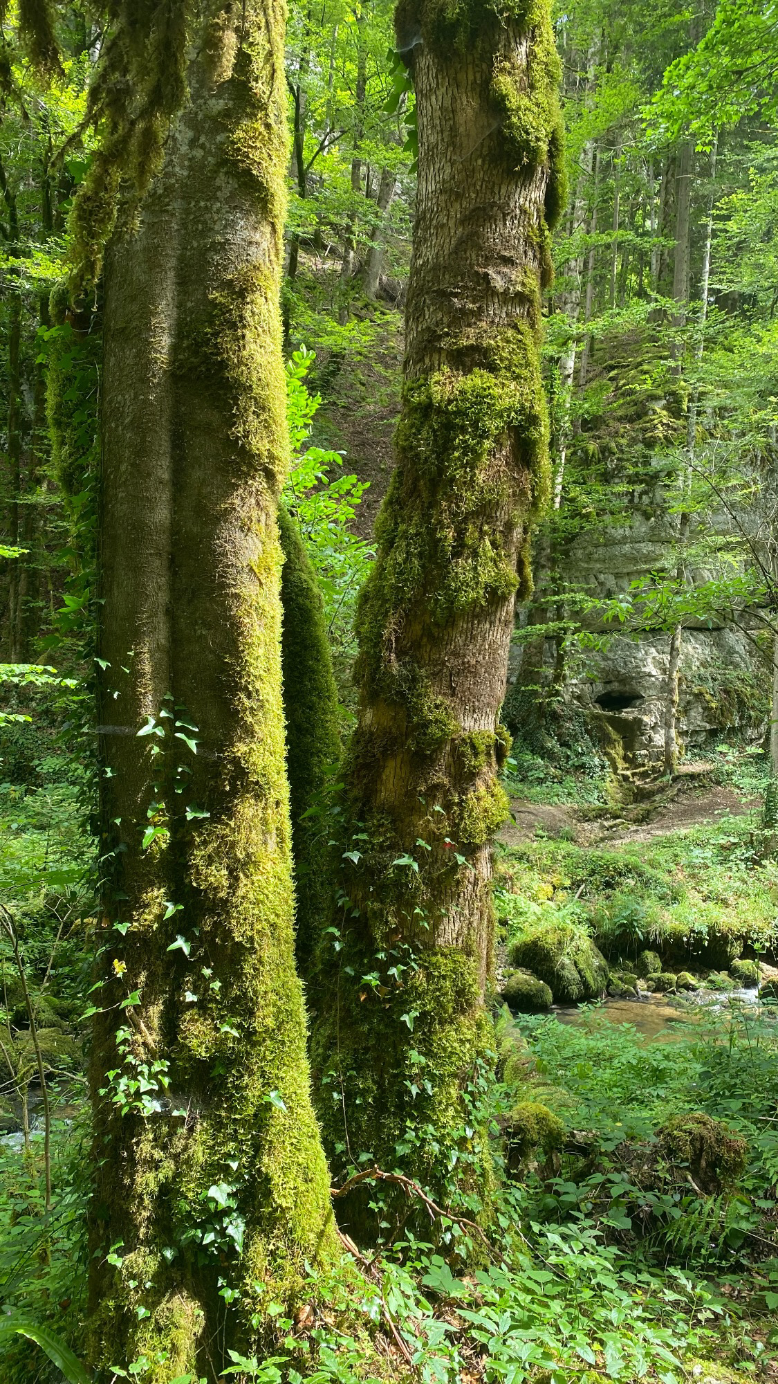 67346952 1700 4c5d b032 42d5f8268a48 2